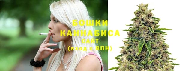 первитин Новодвинск