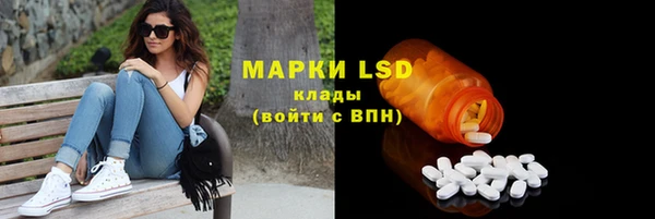 каннабис Новозыбков