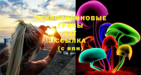 каннабис Новозыбков