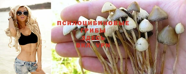 первитин Новодвинск
