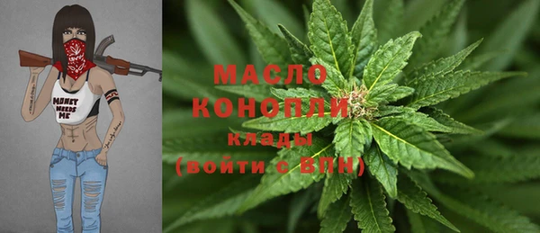 первитин Новодвинск